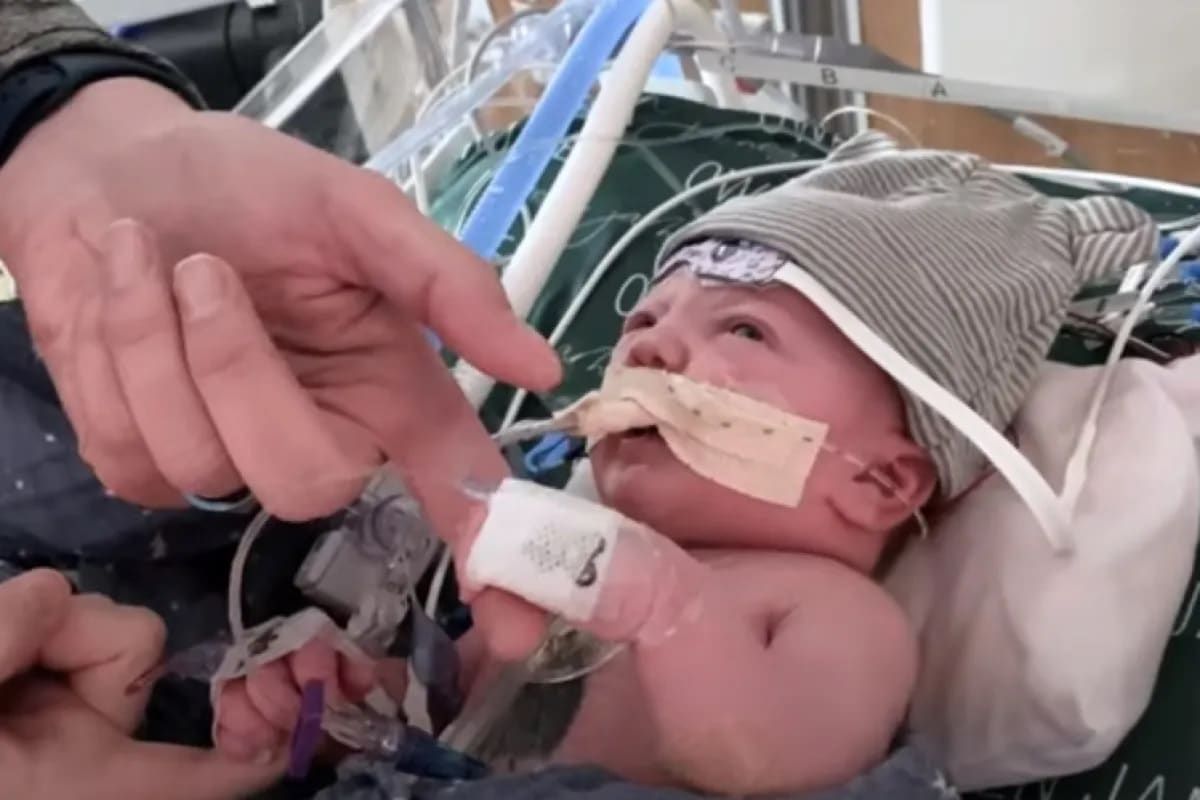 pensarcontemporaneo.com - Bebê que recebeu 1º transplante de coração do tipo no mundo segue bem um ano após cirurgia