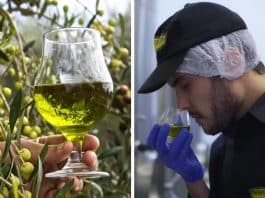 Dona de azeites premiados, marca brasileira "fura bolha", conquista legião de clientes e fatura R$ 6,5 milhões