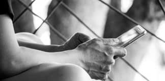 Como se registrar e ganhar ao obter o Alligator no Jogo do Bicho 