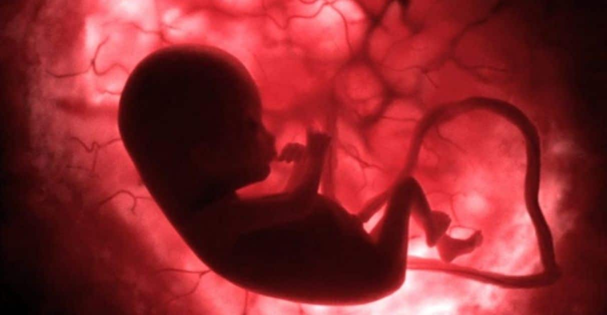 pensarcontemporaneo.com - Nova tecnologia permitirá criar bebês com genes de 2 homens diferentes