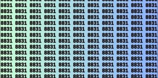 Você têm olhos de águia? Encontre 1 número em menos de 12 segundos para ganhar a prova!