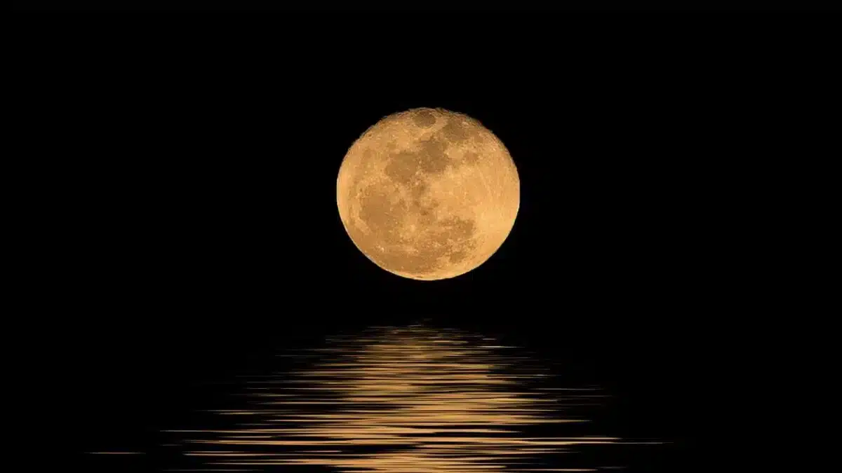 Qual lua reflete sua jornada? Escolha uma fase e veja como terminará o mês de novembro! pensarcontemporaneo.com - Qual lua reflete sua jornada? Escolha uma fase e veja como terminará o mês de novembro!