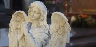 pensarcontemporaneo.com - Home