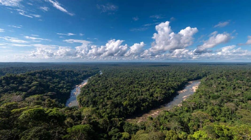 Nenhum ser vivo NO PLANETA consegue sobreviver: Conheça o ponto mais perigoso da Amazônia