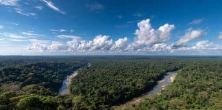 Nenhum ser vivo NO PLANETA consegue sobreviver: Conheça o ponto mais perigoso da Amazônia