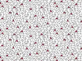 ilusão visual cachorro entre os ursos