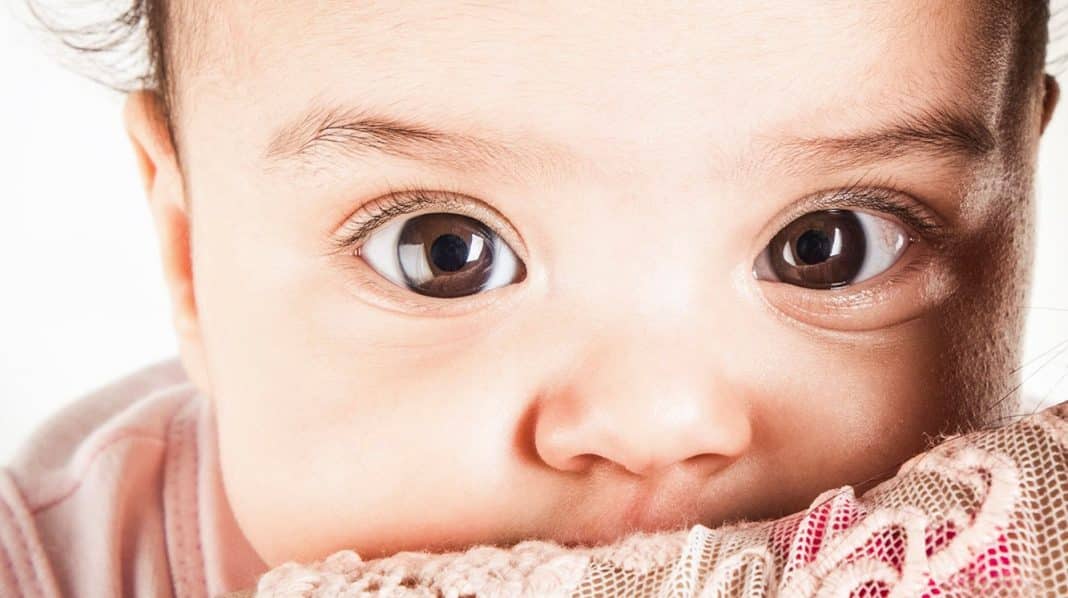 Harvard chama atenção para 2026: Se seu filho faz isso, ele tem uma inteligência emocional superior à dos demais (e a maioria dos pais não percebe)