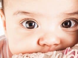 inteligencia emocional dos filhos harvard 2026