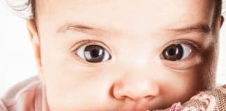 inteligencia emocional dos filhos harvard 2026