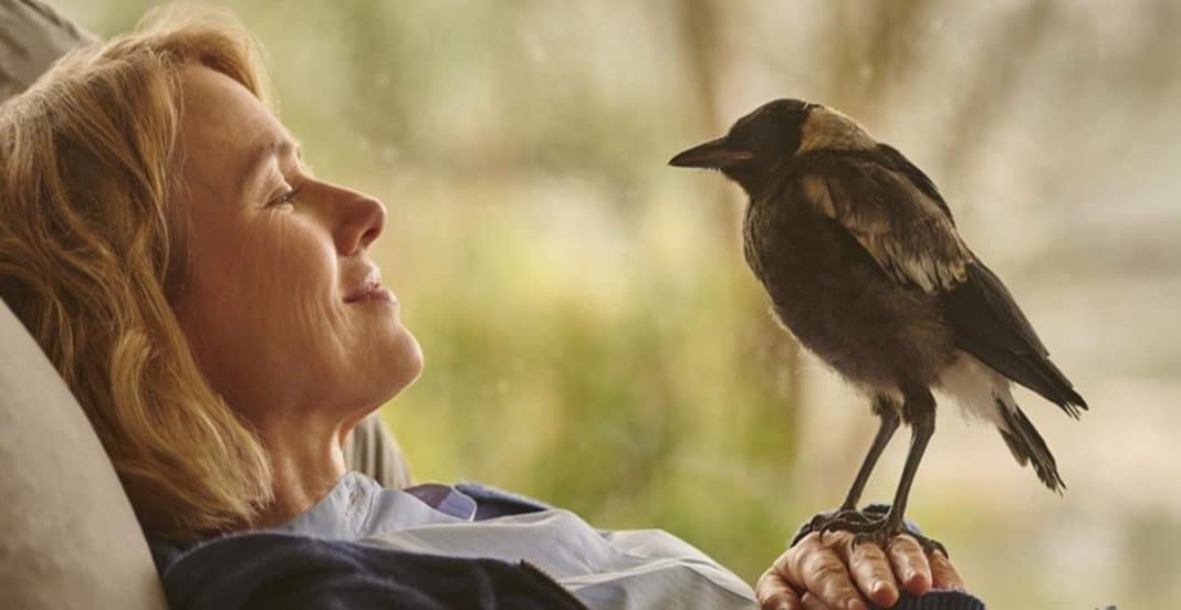 Um acidente, uma família em pedaços e um pássaro improvável: o filme da Netflix que vai te desmontar por dentro