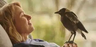 Um acidente, uma família em pedaços e um pássaro improvável: o filme da Netflix que vai te desmontar por dentro