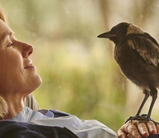 Um acidente, uma família em pedaços e um pássaro improvável: o filme da Netflix que vai te desmontar por dentro