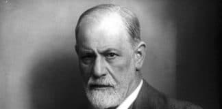 pensarcontemporaneo.com - Home