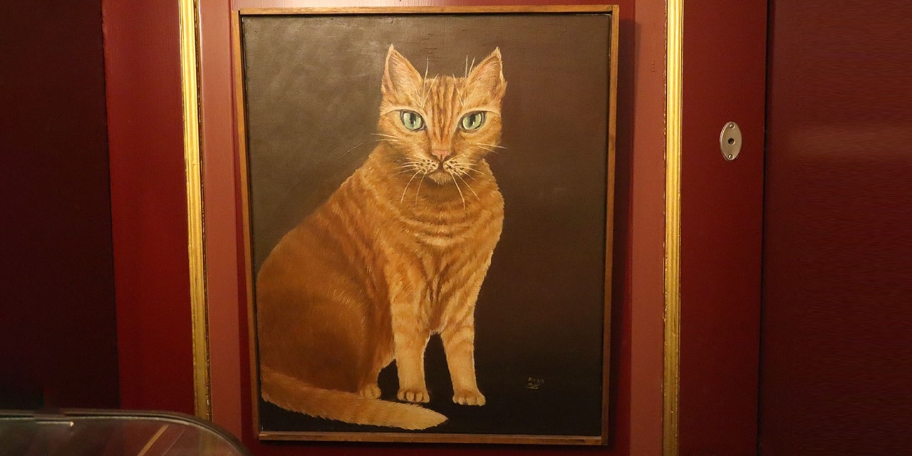 pensarcontemporaneo.com - At&eacute; Picasso se rendeu: o casar&atilde;o luxuoso em Amsterd&atilde; onde os gatos s&atilde;o os &uacute;nicos donos da arte!