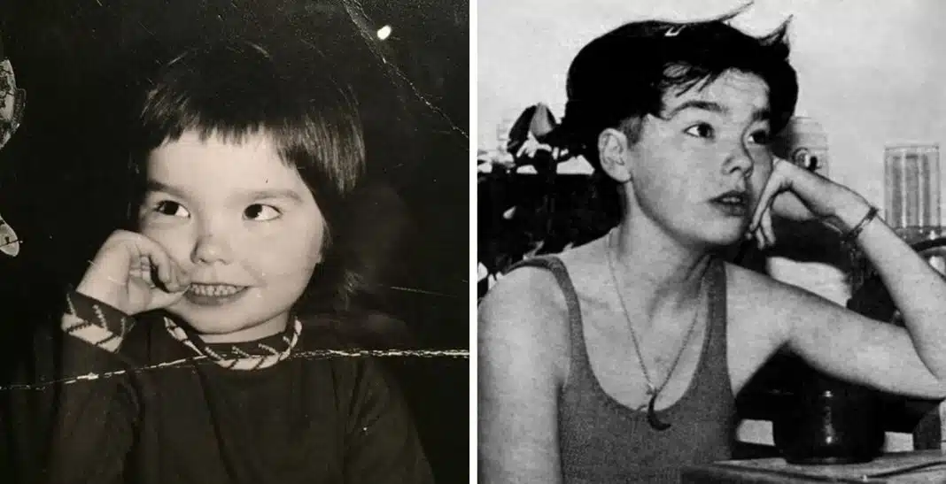 bjork 2026 Ela sobreviveu a um plano de assassinato… E anos depois virou uma das artistas mais respeitadas do mundo