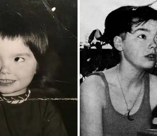 bjork 2026