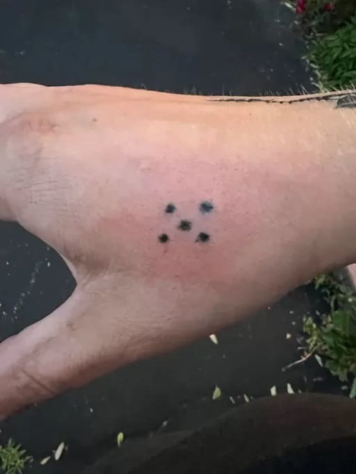 O significado nada inocente por trás da tatuagem de cinco pontos na mão de alguém pensarcontemporaneo.com - O significado nada inocente por trás da tatuagem de cinco pontos na mão de alguém