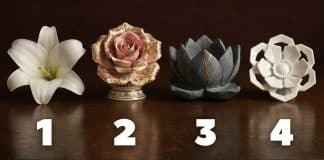 Escolha uma destas FLORES e descubra qual é o seu maior dom e que você ainda não percebeu