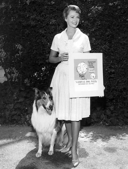 pensarcontemporaneo.com - Ela foi uma das mulheres mais bonitas da TV e, aos 97 anos, ainda impressionava pela vitalidade