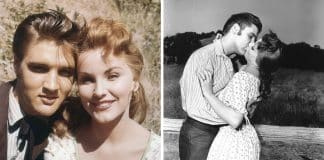 elvis presley